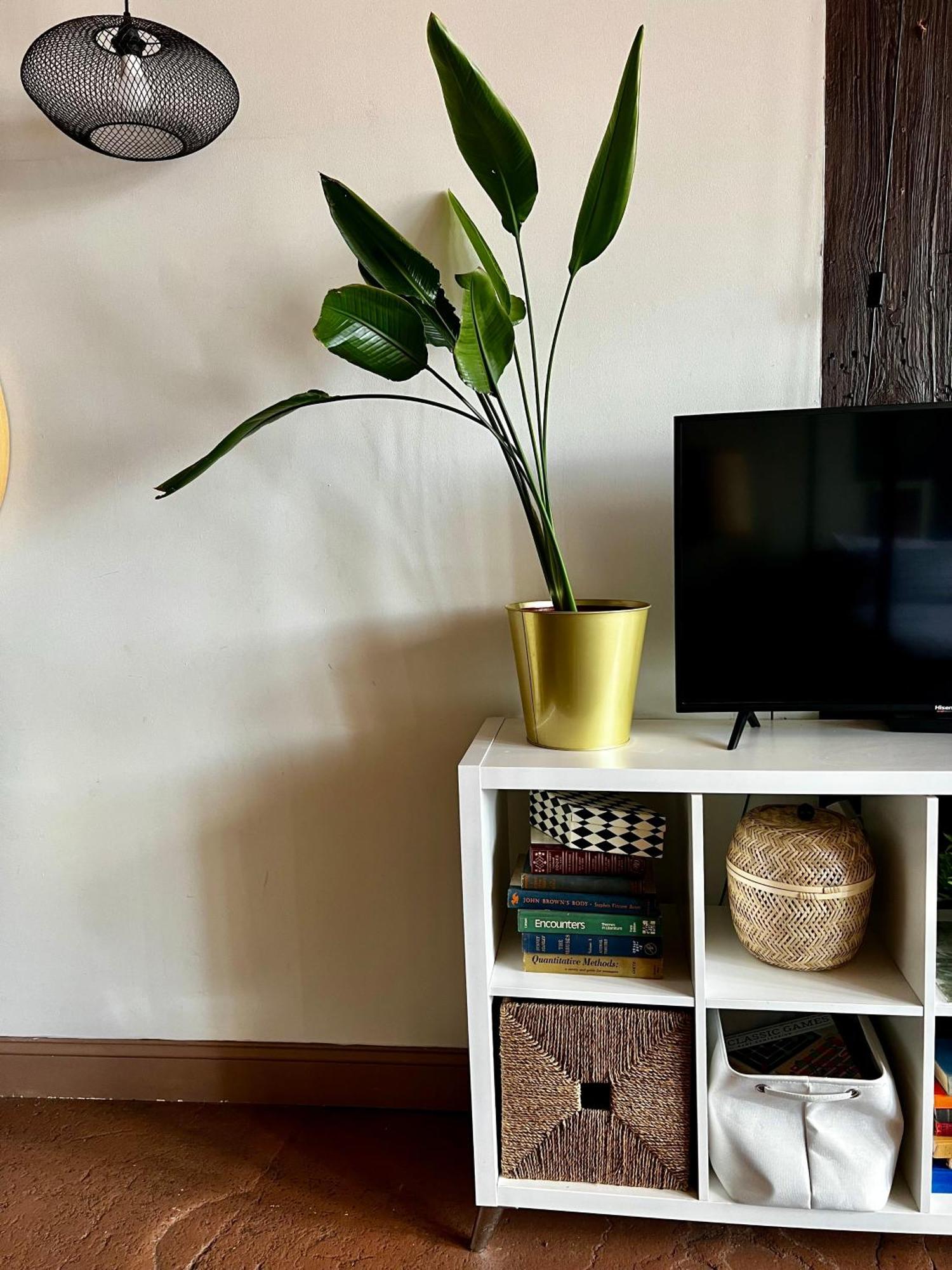 420 Friendly Boho Loft Downtown King Suite Free Parking デトロイト エクステリア 写真